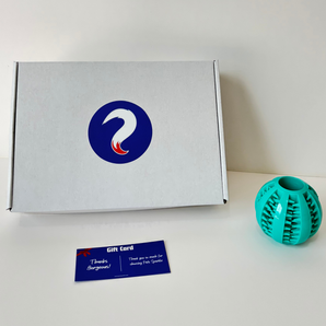 Pawzzle Feeder Ball