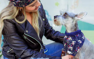 Dog in stylish clothing outdoors — tonal coordination achieves the matching aesthetic with far less planning than exact matching