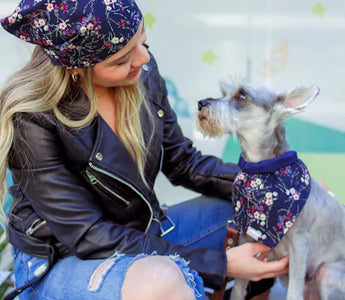 Dog in stylish clothing outdoors — tonal coordination achieves the matching aesthetic with far less planning than exact matching