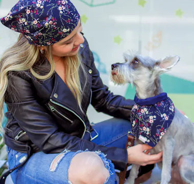 Dog in stylish clothing outdoors — tonal coordination achieves the matching aesthetic with far less planning than exact matching