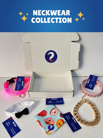 Neckwear Collection