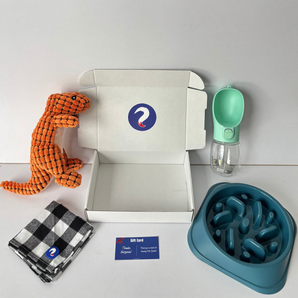 Spark Cool Box