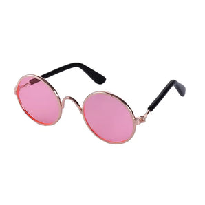 BarkRay Sunglasses
