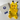 The Pikachu Suit