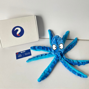 Mr. Octopus
