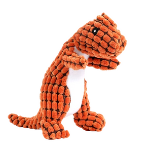 Mr. Dinosaur