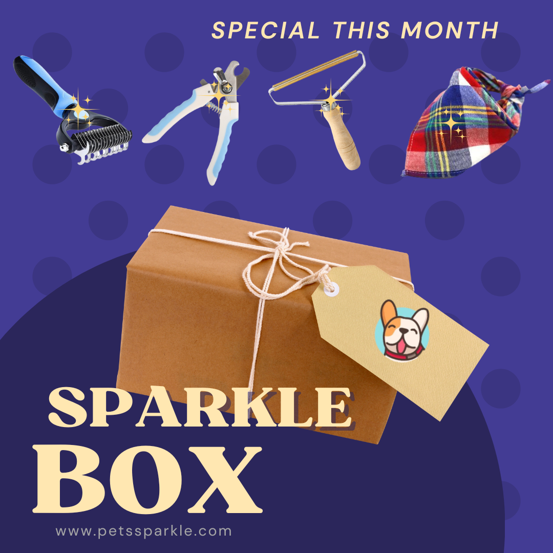 Sparkle Box 10