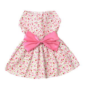 Bloom Bow Dress