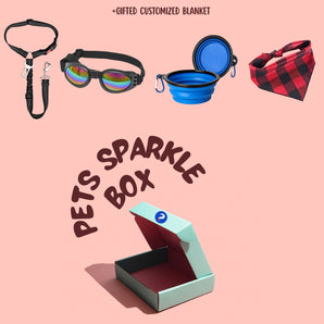Spark Outing Box