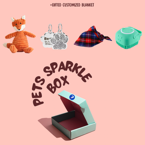 Spark Wish Box
