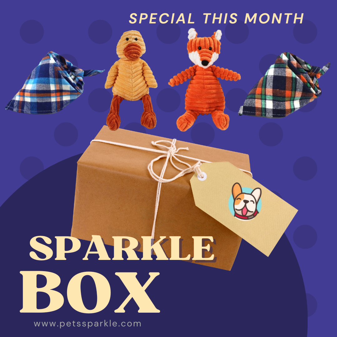 Sparkle Box 5