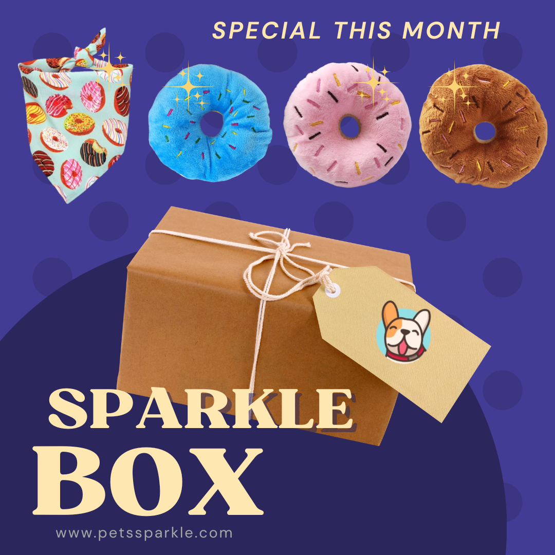 Sparkle Box 6