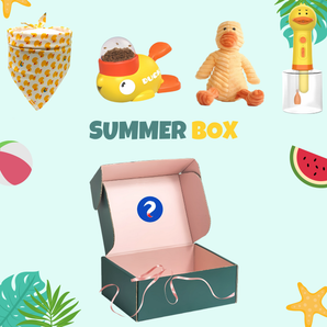 Spark Duck Box