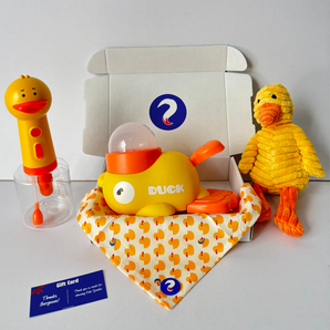Spark Duck Box